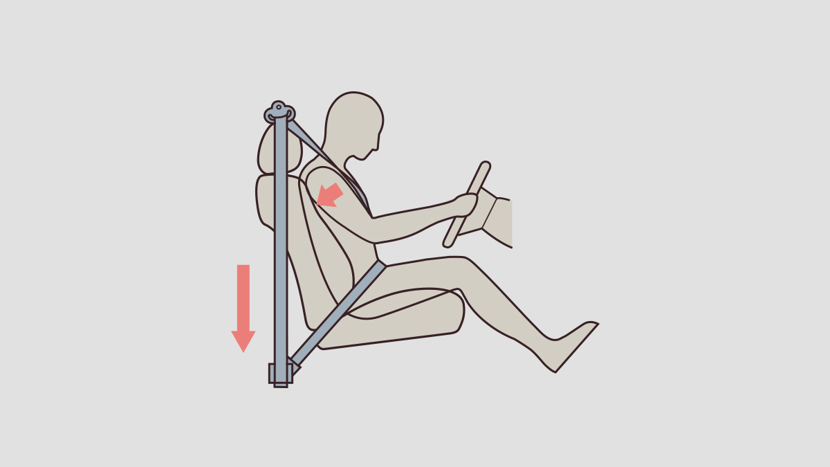 3 Point Seatbelt